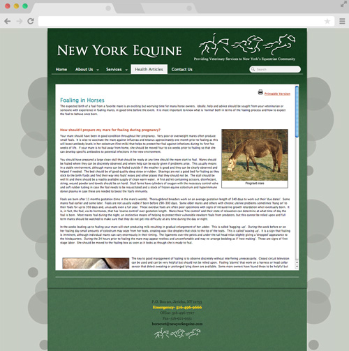 New York Equine health article page