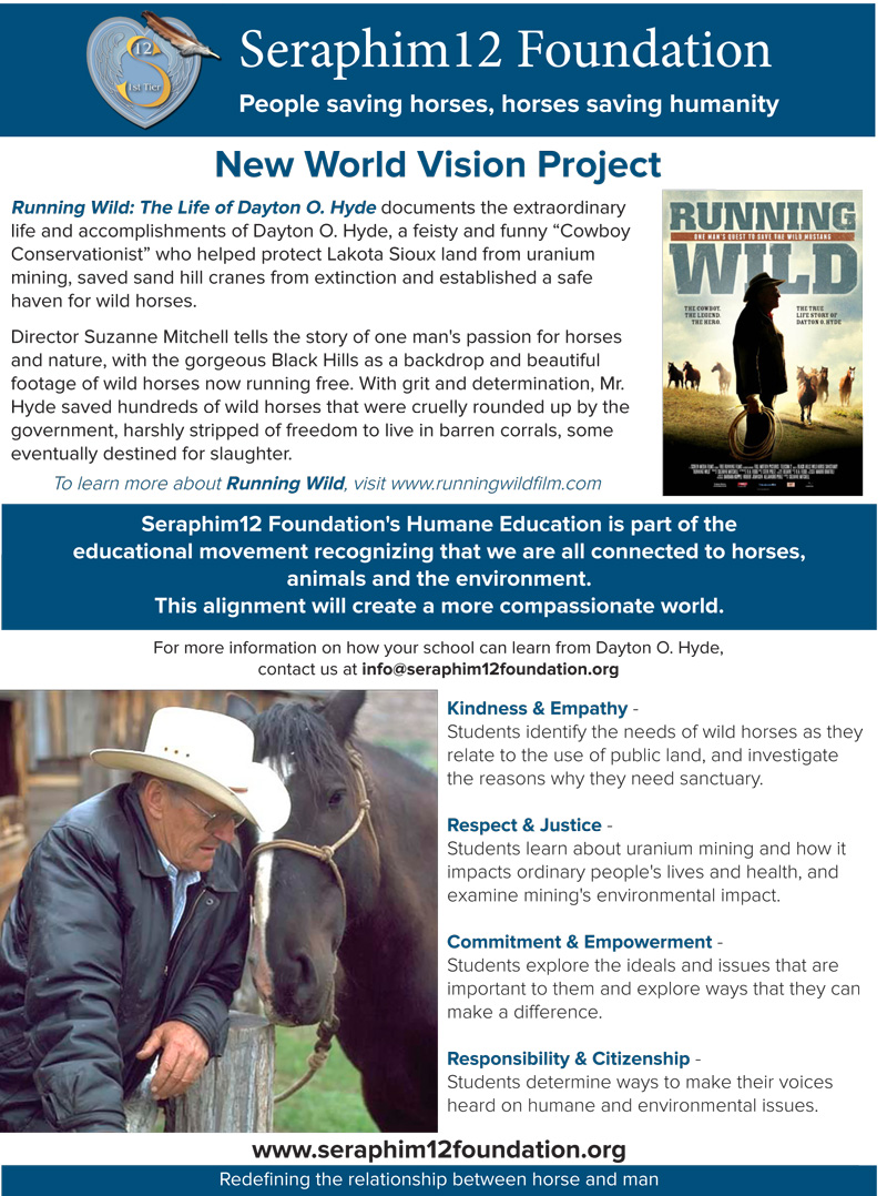 Seraphim12 Running Wild Education one sheet