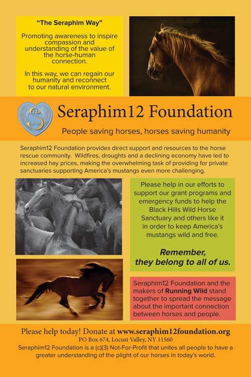 Seraphim12 flyer inserted into Running Wild DVDs