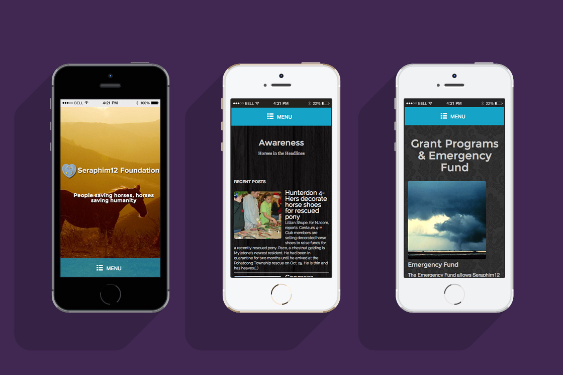 Seraphim12 Foundation responsive website