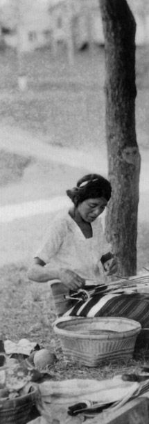 RGI communities pillar