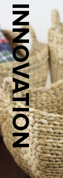 RGI innovation pillar