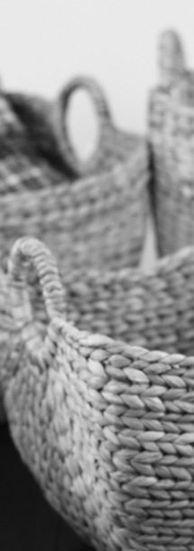 RGI innovation pillar