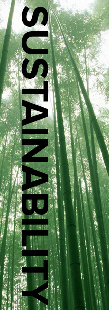 RGI sustainability pillar